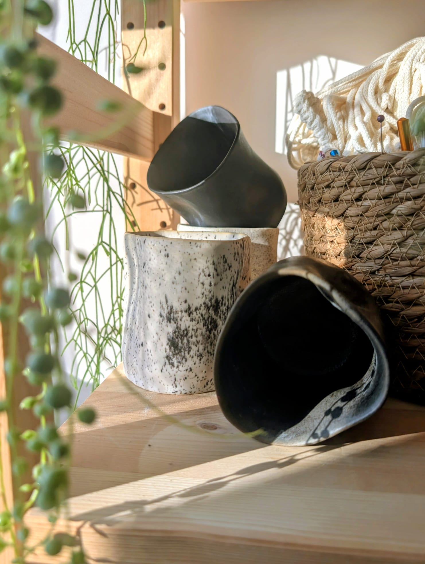 Czarki nakrapiane z ciemnymi kubkami